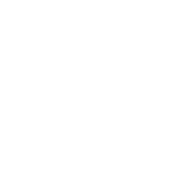 ce logo Centreville