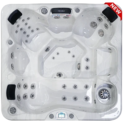 Avalon-X EC-849LX hot tubs for sale in Centreville