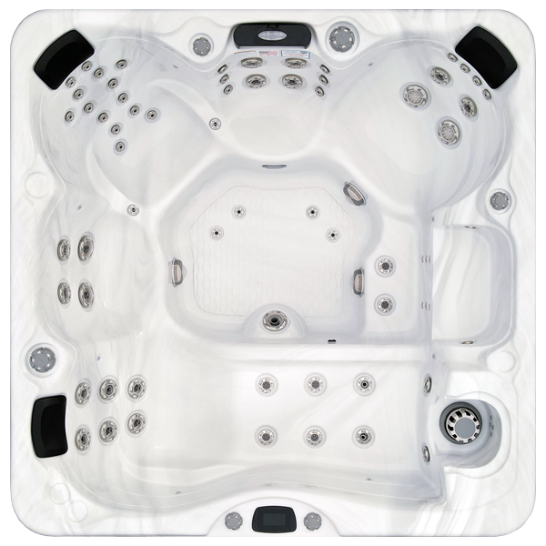Avalon-X EC-867LX hot tubs for sale in Centreville